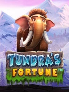 Tundra’s Fortune